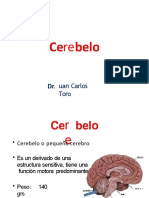pdf-cerebelo