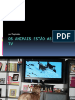 Os Animais Estão Assistindo TV