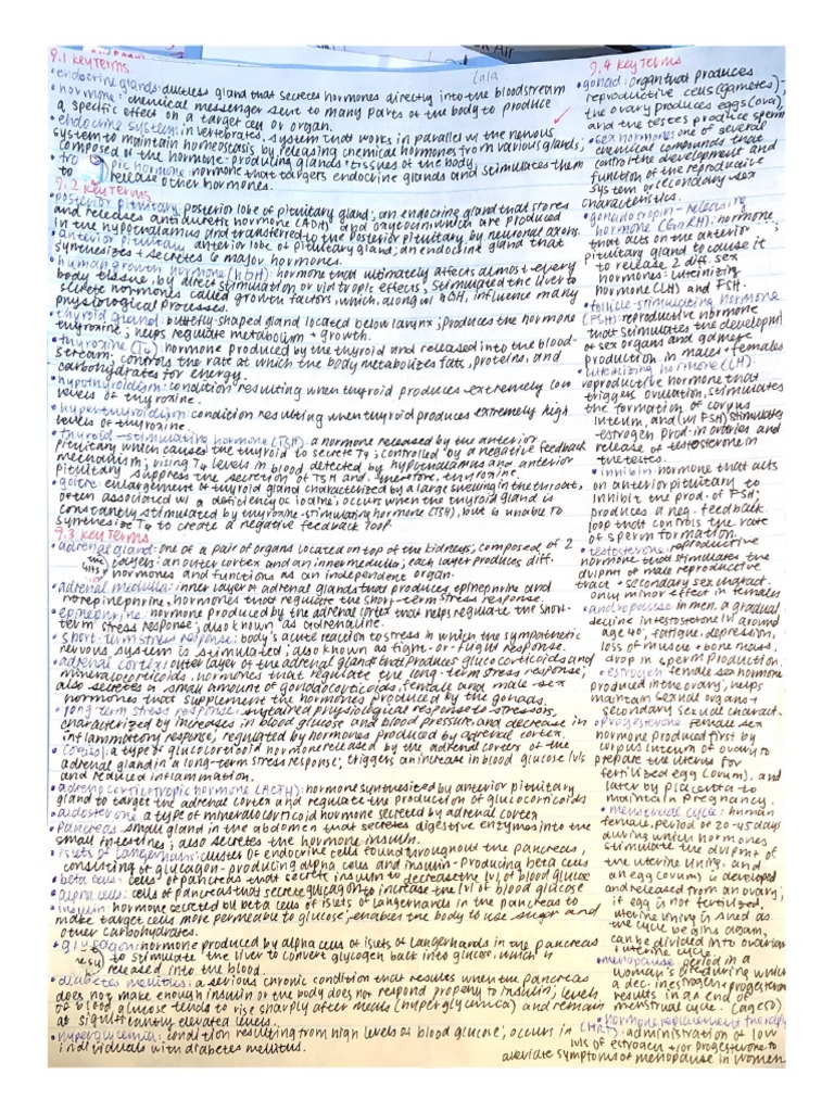 Chapter 9 Study Sheet | PDF