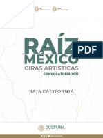 Raíz México