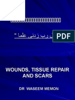 Wounds, Tissue Repair and Scars