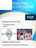 Specialized Connective Tissue