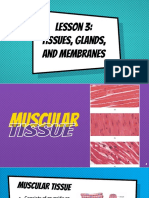 C. Topic 1 - Types of Tissues (MUSCULAR AND NERVOUS TISSUE)