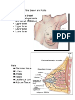 14188072 Assessment of the Breast and Axilla