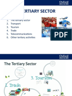 Tertiary Sector Presentation