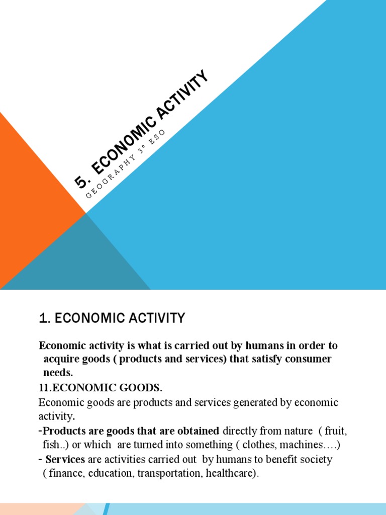 Overview of Economic Activities | PDF | Economic System | Resource