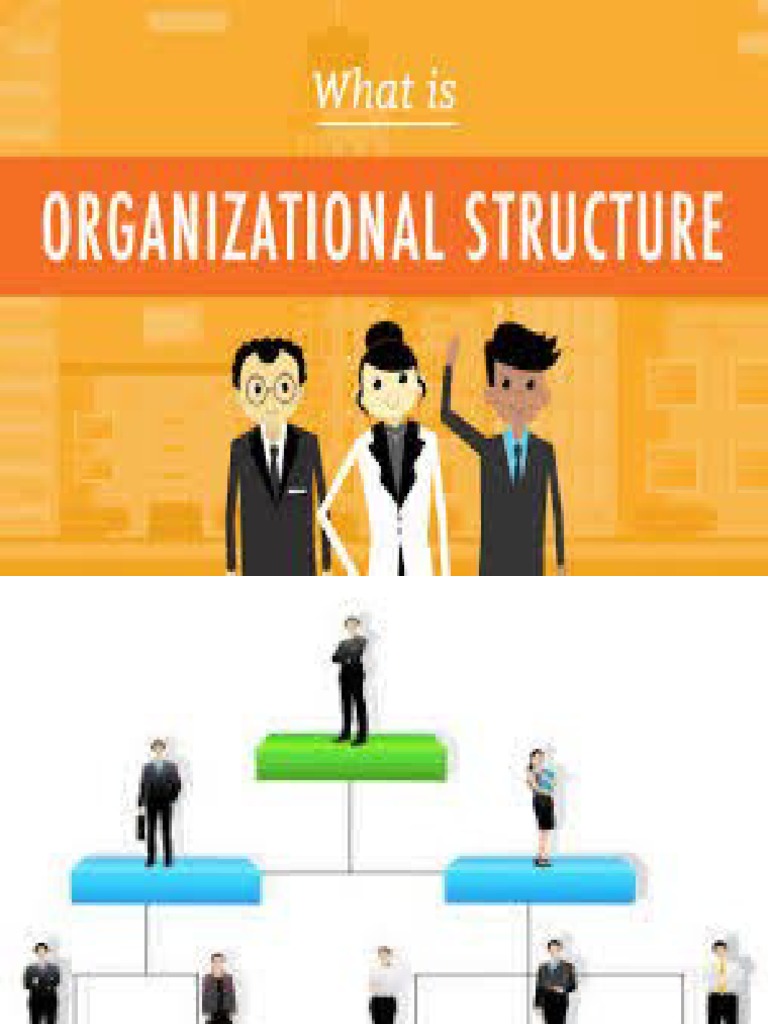Organizational Structure | PDF | Organizational Structure | Market ...
