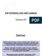 Patofisiologi Inflamasi