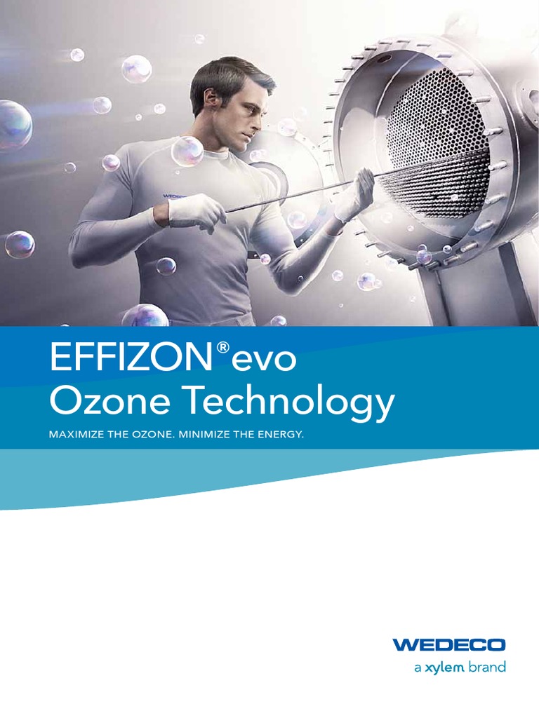 Wedeco Effizon Ozon Teknolojisi | PDF | Ozone | Electric Generator