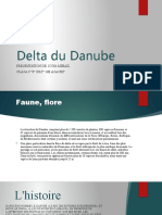 Delta Du Danube