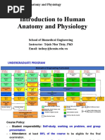 Introduction to Anatomy and Physiology | PDF