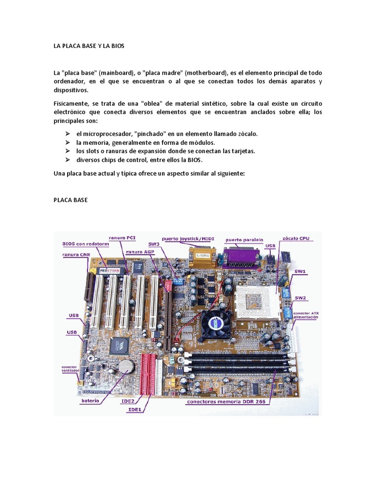Fallas Comunes Y Posibles Soluciones En Una Pc Pdf Bios Memoria