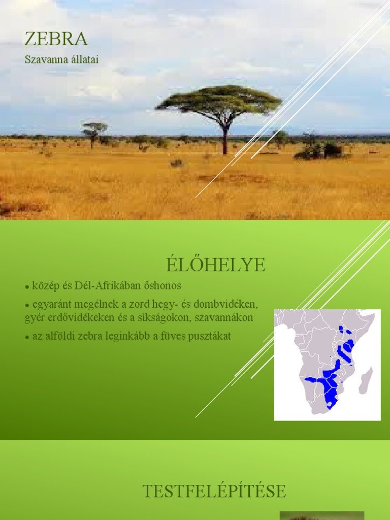 Zebra | PDF