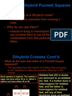 4 - 13 Codominance - Polygenic - Blood Type W Answers