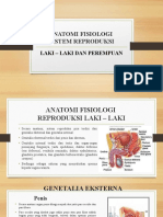 12 - Anatomi Fisiologi Sistem Reproduksi
