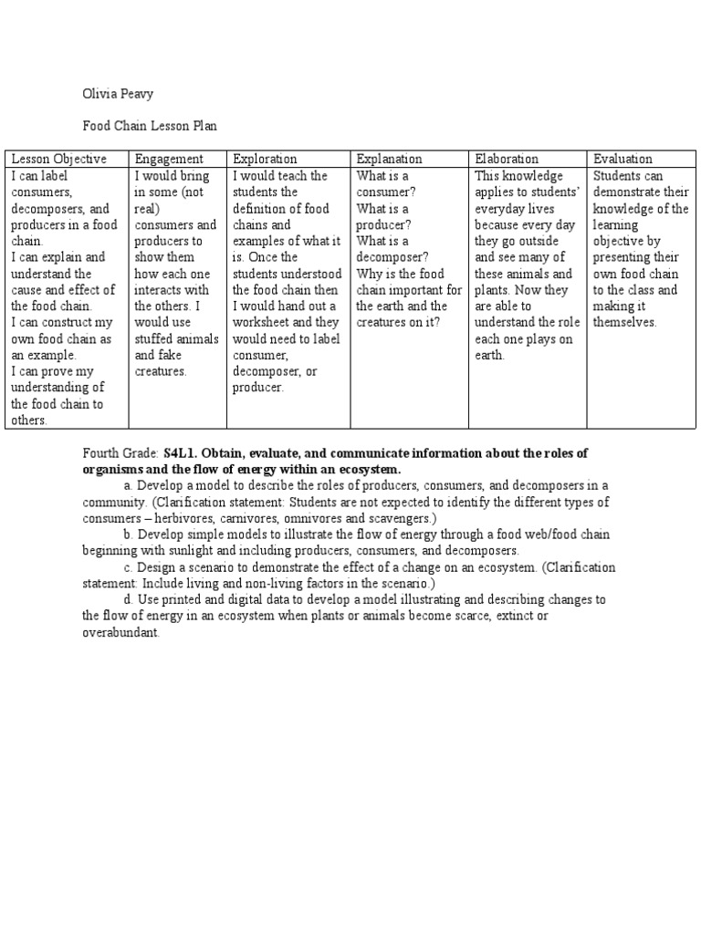 Food Chain Lesson Plan | PDF | Food Web | Ecosystem