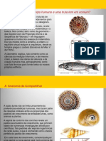 Apresentação Geometria Na Arquitetura