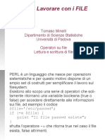 2007 Perl File