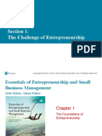 Section 1: The Challenge of Entrepreneurship
