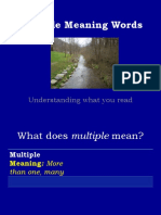 Multiple Meaning Words: Understanding What You Read