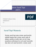 Sistem Saraf Tepi