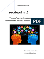 Produsul nr.2: Tema:,,Faptele Și Procesele Componente Ale Vieții Sociale"