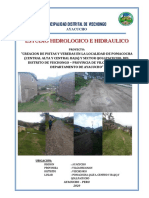 1.0-ESTUDIO-HIDROLOGICO-E-HIDRAULICO_VISCHONGO (1)