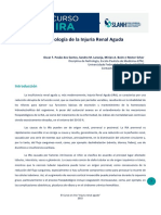 M1 Fisiopatologia de La IRA Nestor Schor ESP