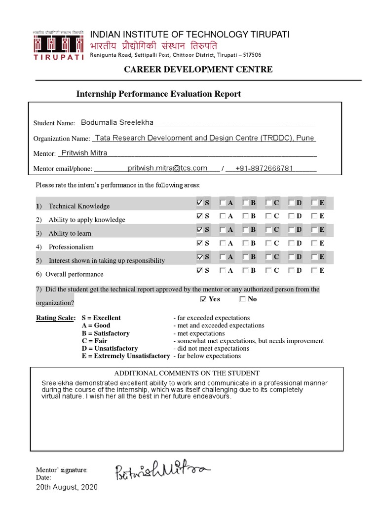 Internship Performance Evaluation Report | PDF | Mentorship | Teaching