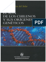 El ADN de los Chilenos y sus Orígenes Genéticos