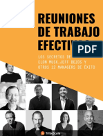 Reuniones de Trabajo Efectivas