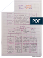 Mapa Conceptual Gobierno Escolar