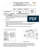 Actividades Grado Tercero 2021