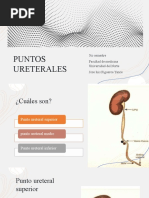 Criterios de Ranson en Pancreatitis Aguda | PDF