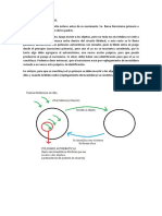 Psicoanalisis Segunda Parte