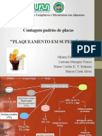 Métodos de isolamento de fungos contaminantes de alimentos