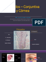 Dra Namoc Parpados Conjuntva Cornea (1)