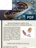 Mitocondrias y Muerte