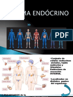 SISTEMA_ENDOCRINO_1 (4)