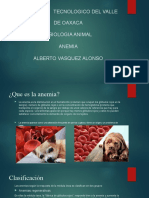 Anemia Fisiologia Animal