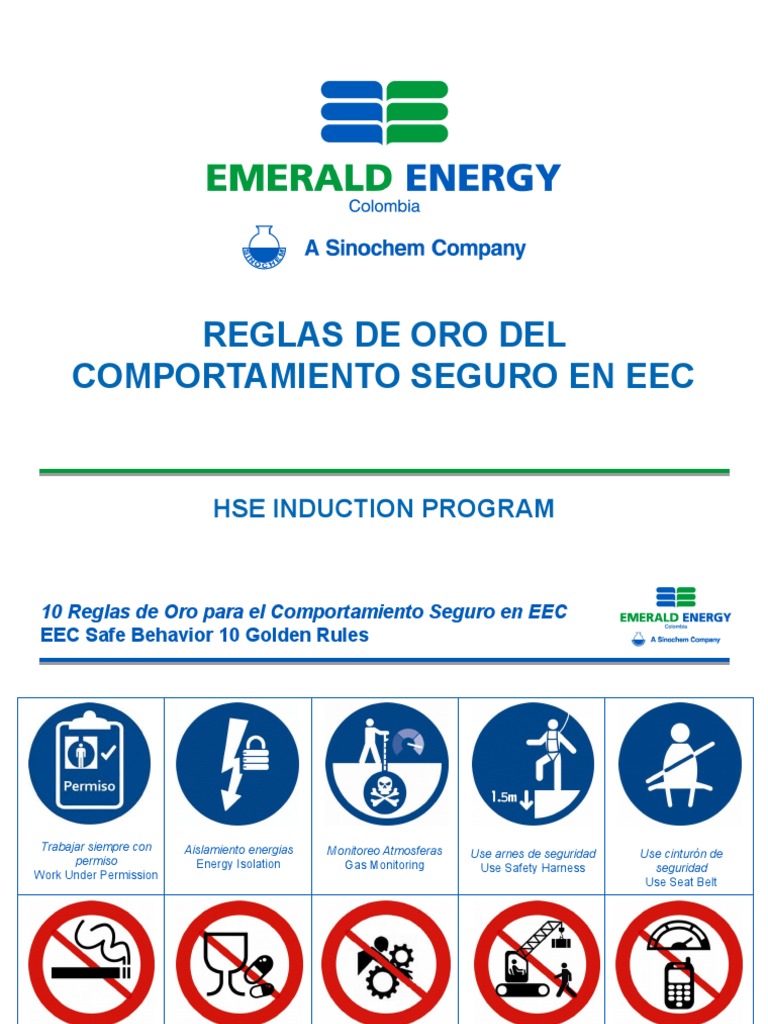 10 Reglas de Oro para Comportamiento Seguro | PDF | Tecnología