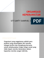 Organisasi Keperawatan