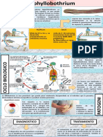 Dyphilobotrium