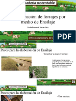 Conservación de Forrajes Por Medio de Ensilaje