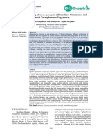 Morfologi Kepiting Albunea Symmysta (Albuneidae: Crustaceae) Dari Pantai Parangkusumo Yogyakarta