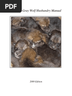 All Wolf Ranks - Powerful Wolves PDF | PDF | Pack (Canine)
