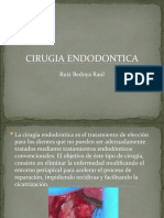 Cirugia Endodontica