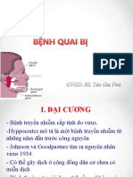 Quai Bị