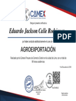 Certificado (1)