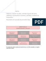 Cronograma Capilar